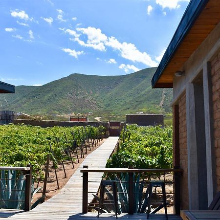 Uvauva Eco-Retreat Bed and Breakfast Valle de Guadalupe Εξωτερικό φωτογραφία