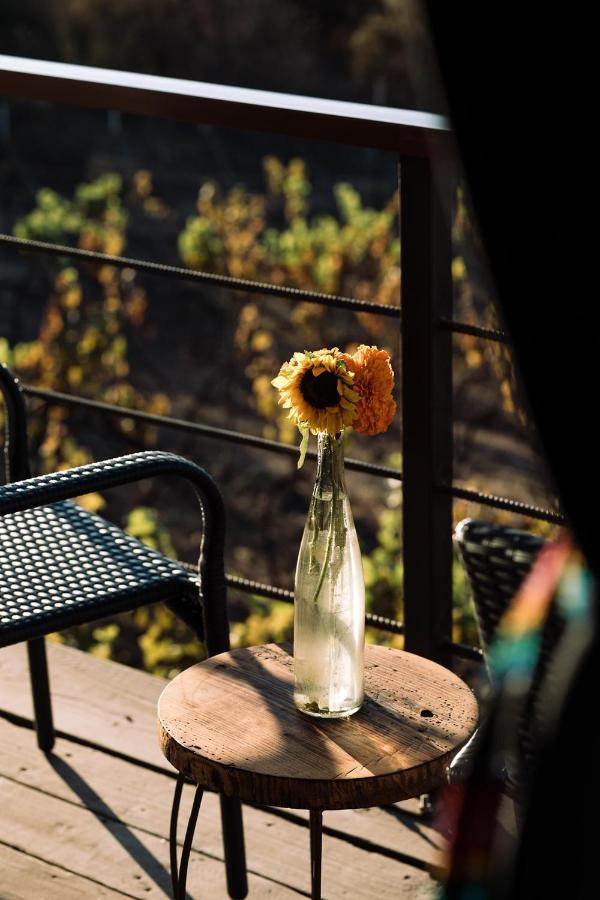 Uvauva Eco-Retreat Bed and Breakfast Valle de Guadalupe Εξωτερικό φωτογραφία