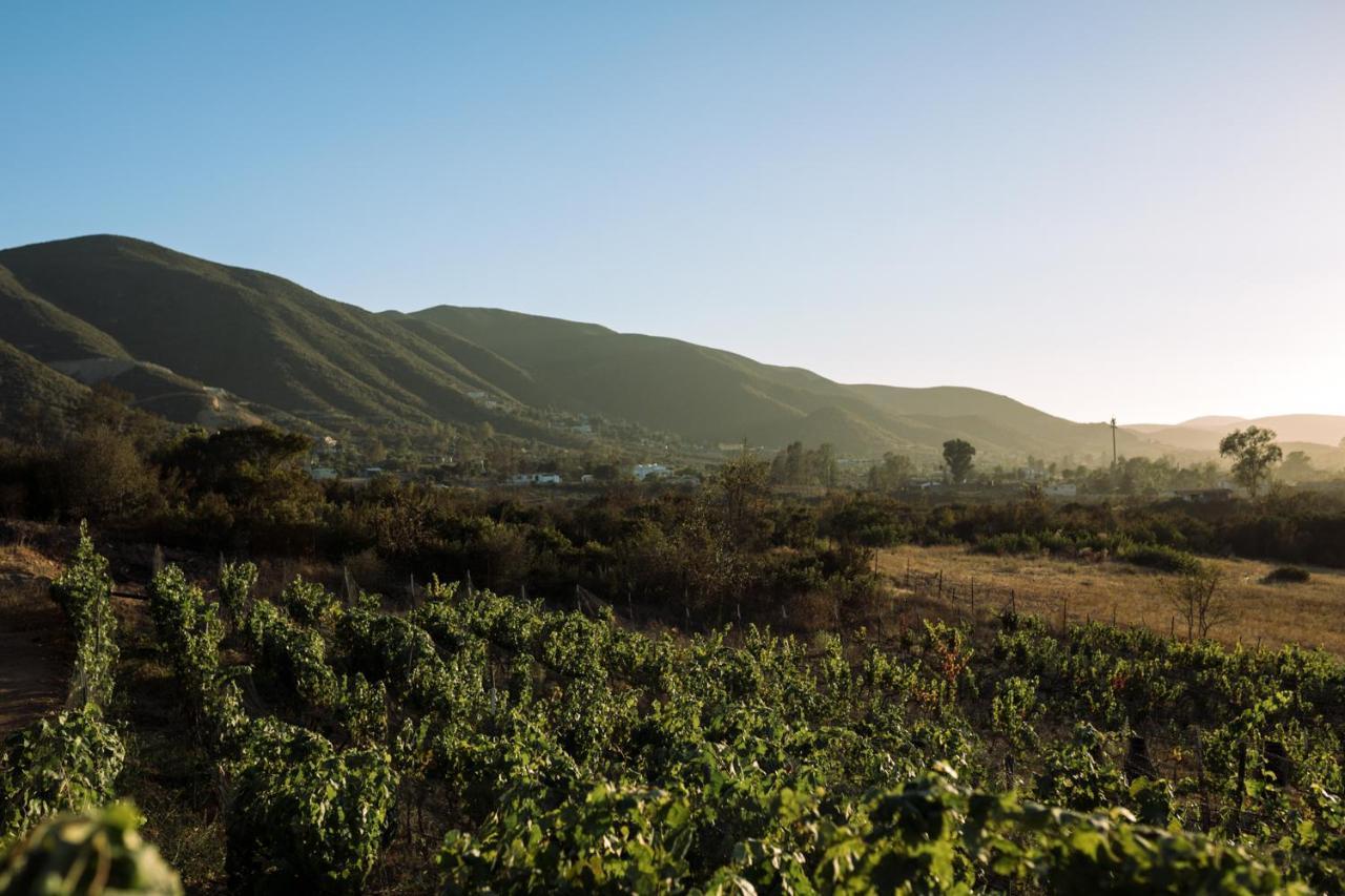 Uvauva Eco-Retreat Bed and Breakfast Valle de Guadalupe Εξωτερικό φωτογραφία