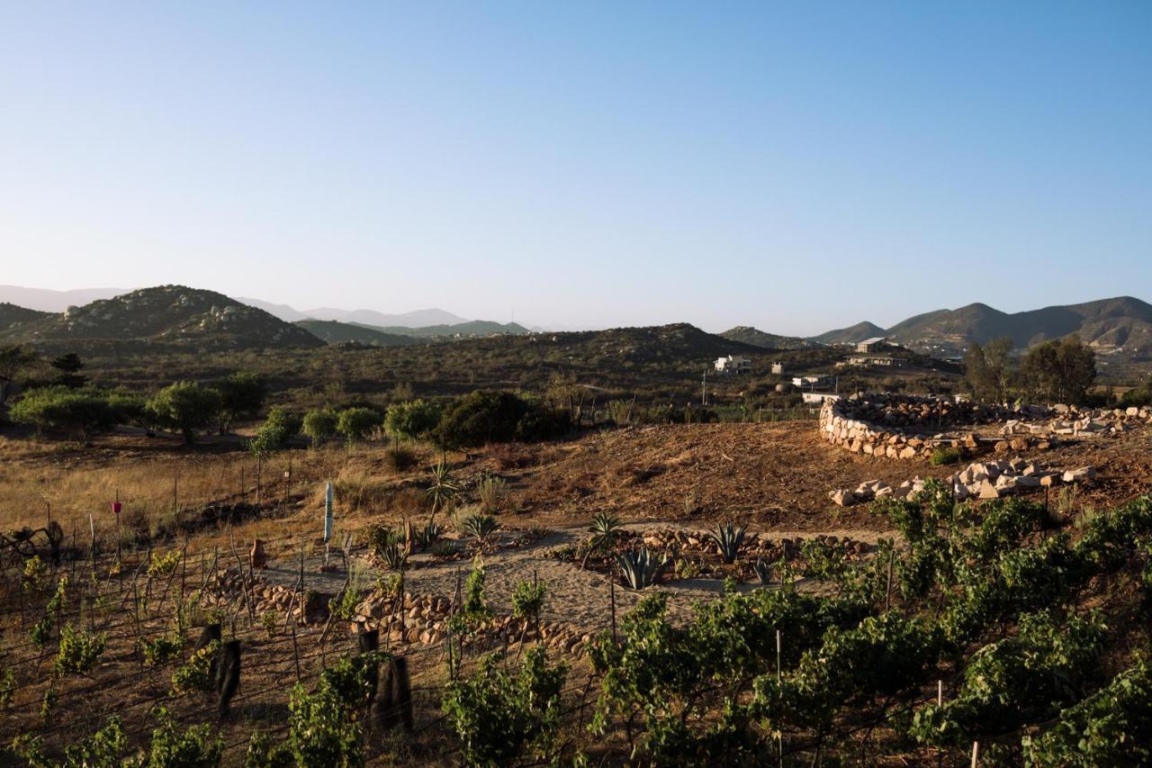 Uvauva Eco-Retreat Bed and Breakfast Valle de Guadalupe Εξωτερικό φωτογραφία