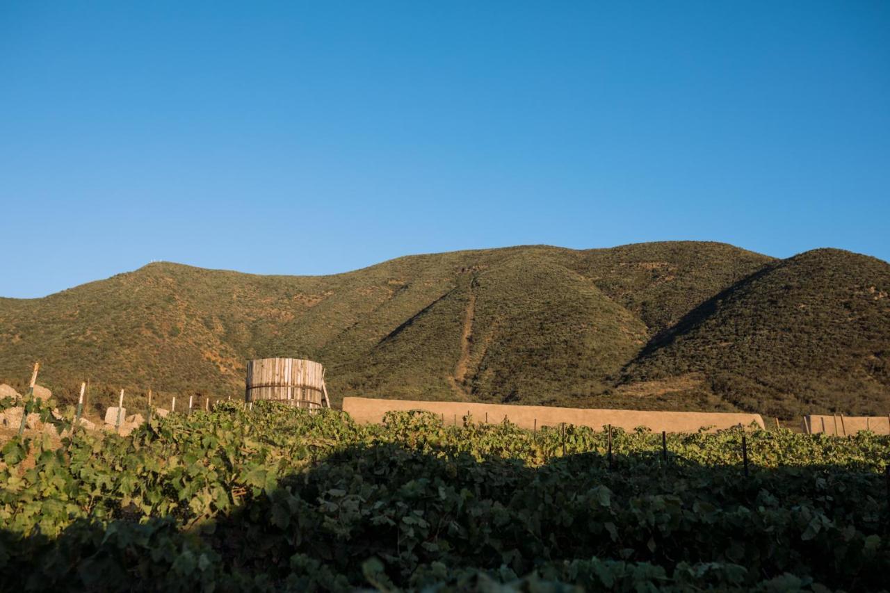 Uvauva Eco-Retreat Bed and Breakfast Valle de Guadalupe Εξωτερικό φωτογραφία