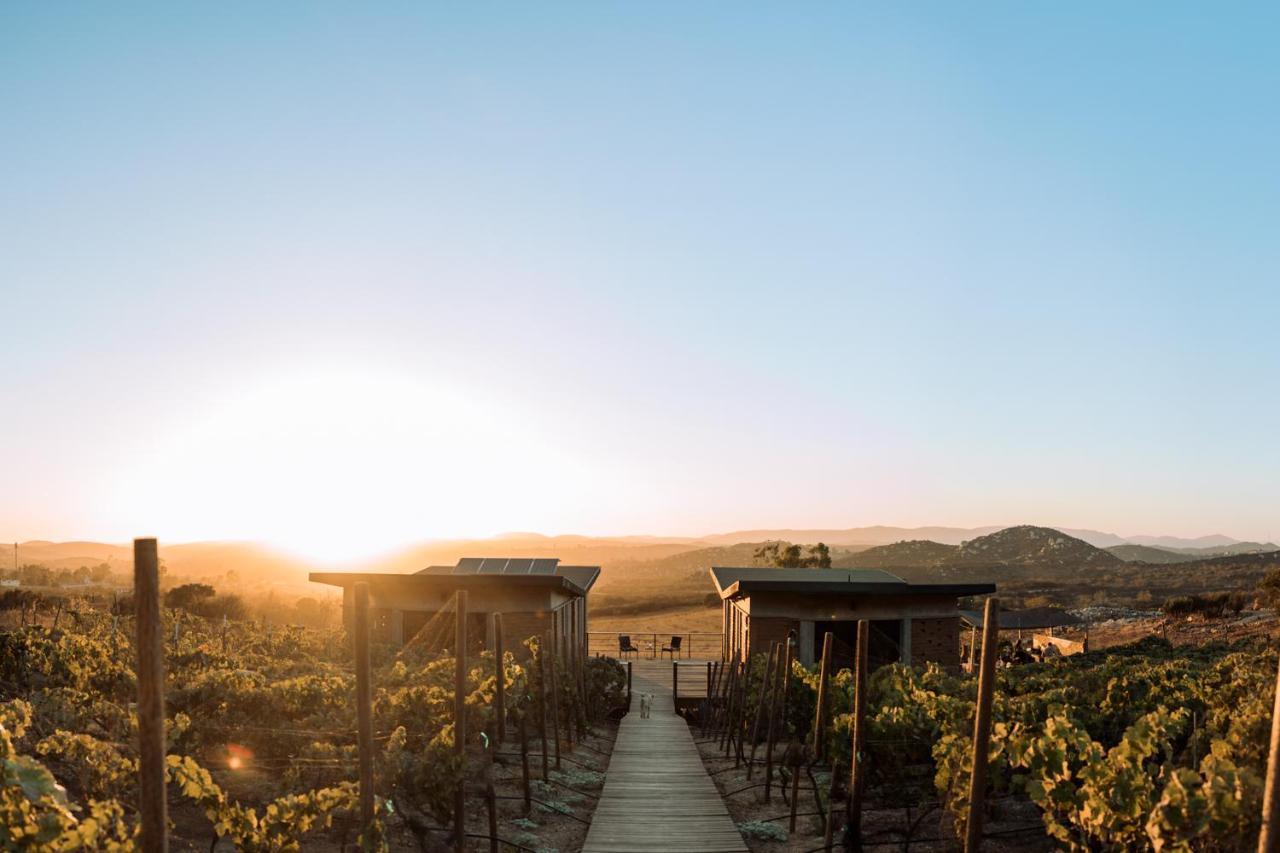 Uvauva Eco-Retreat Bed and Breakfast Valle de Guadalupe Εξωτερικό φωτογραφία
