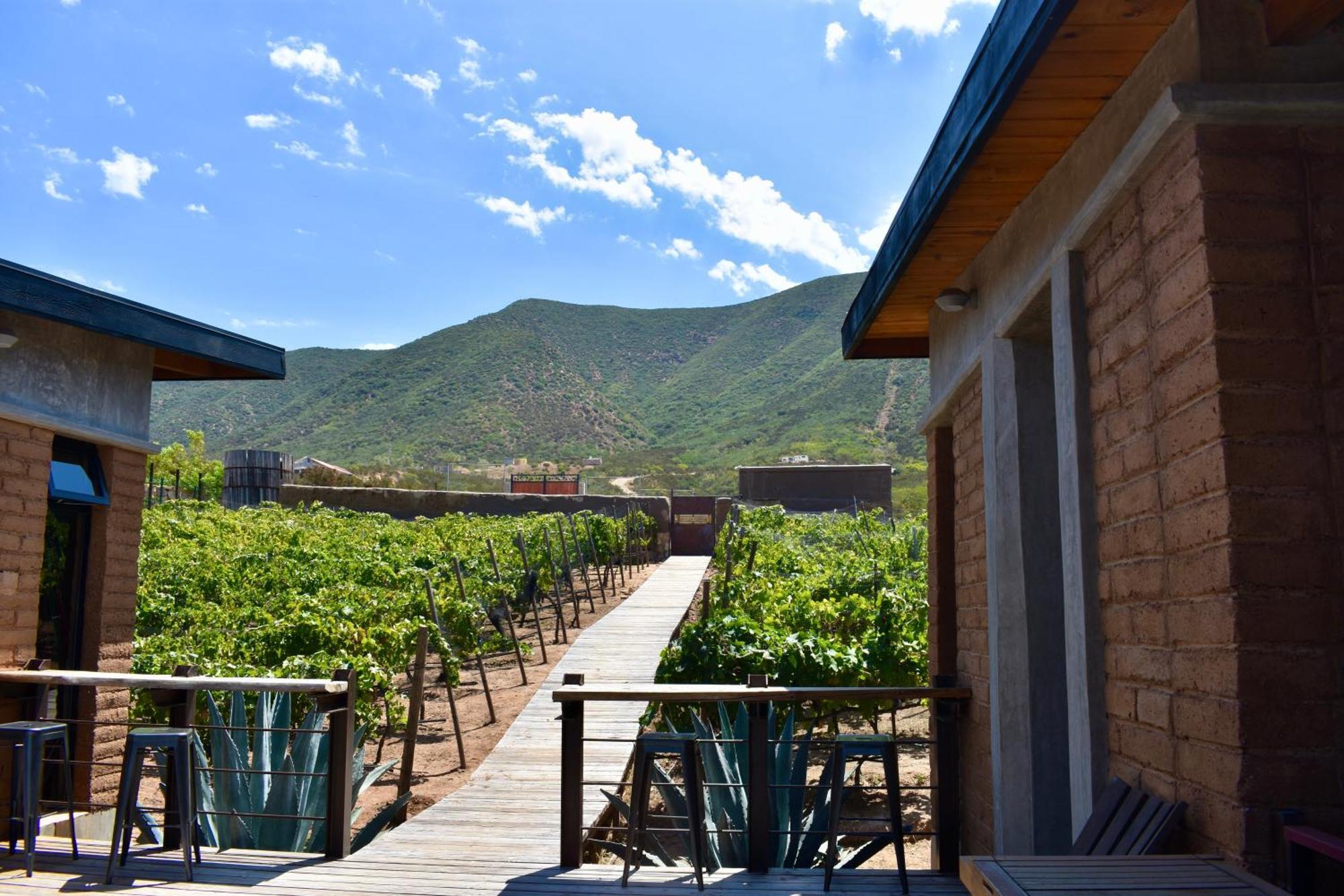 Uvauva Eco-Retreat Bed and Breakfast Valle de Guadalupe Εξωτερικό φωτογραφία