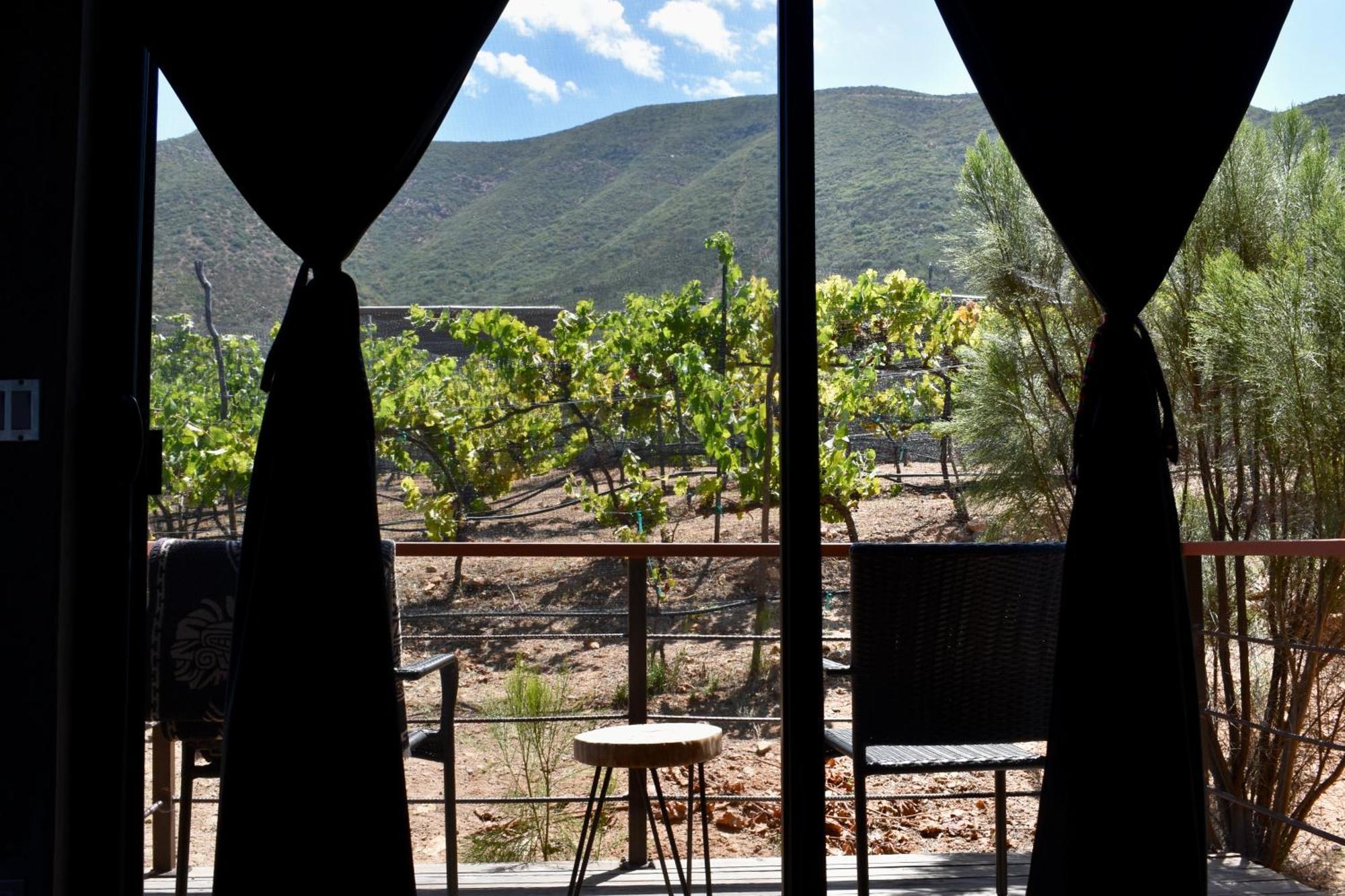 Uvauva Eco-Retreat Bed and Breakfast Valle de Guadalupe Εξωτερικό φωτογραφία