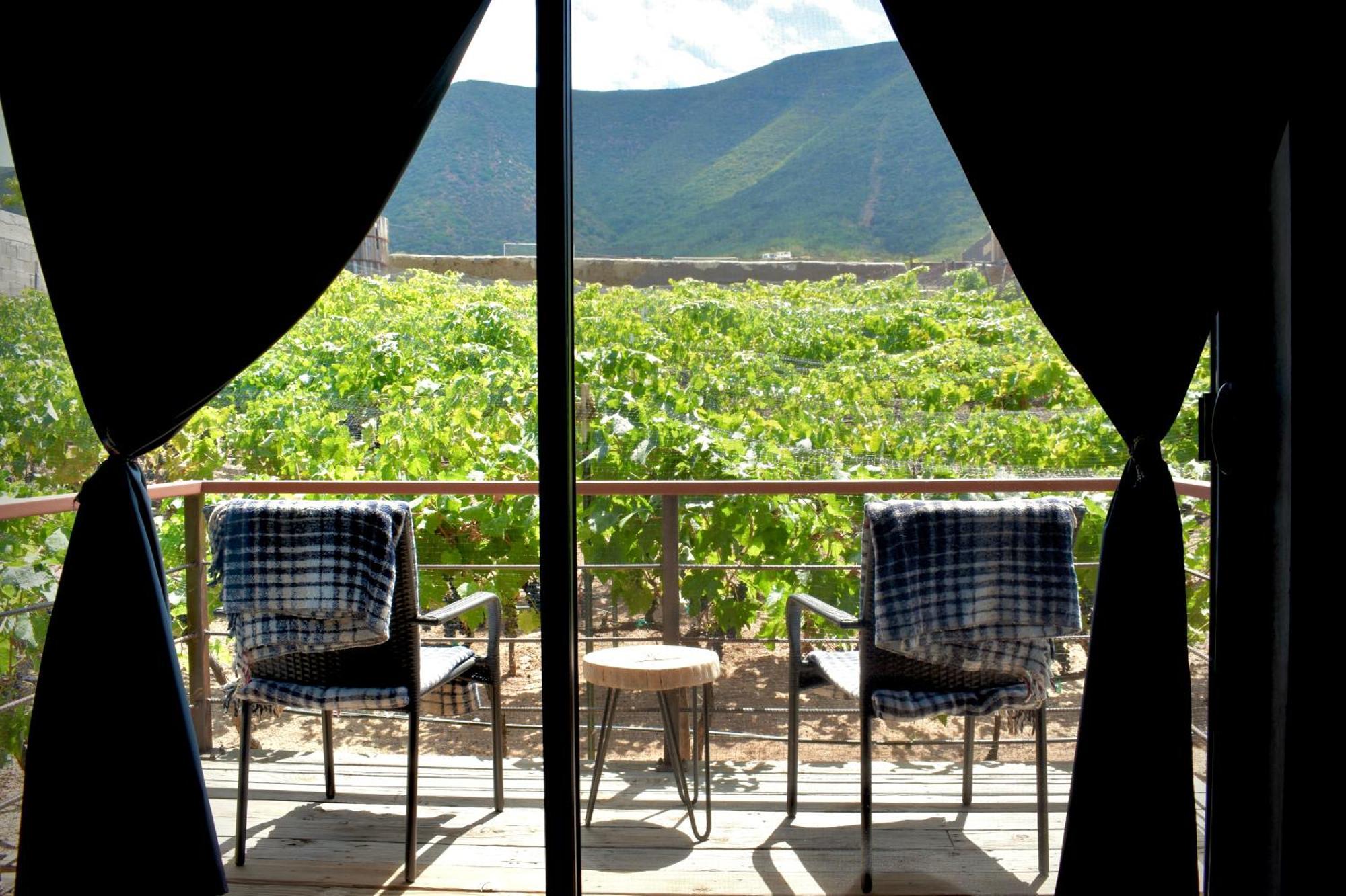 Uvauva Eco-Retreat Bed and Breakfast Valle de Guadalupe Εξωτερικό φωτογραφία