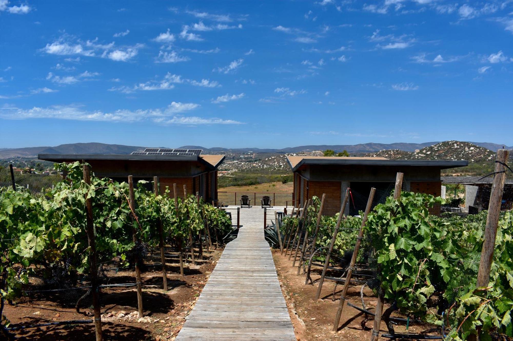 Uvauva Eco-Retreat Bed and Breakfast Valle de Guadalupe Εξωτερικό φωτογραφία
