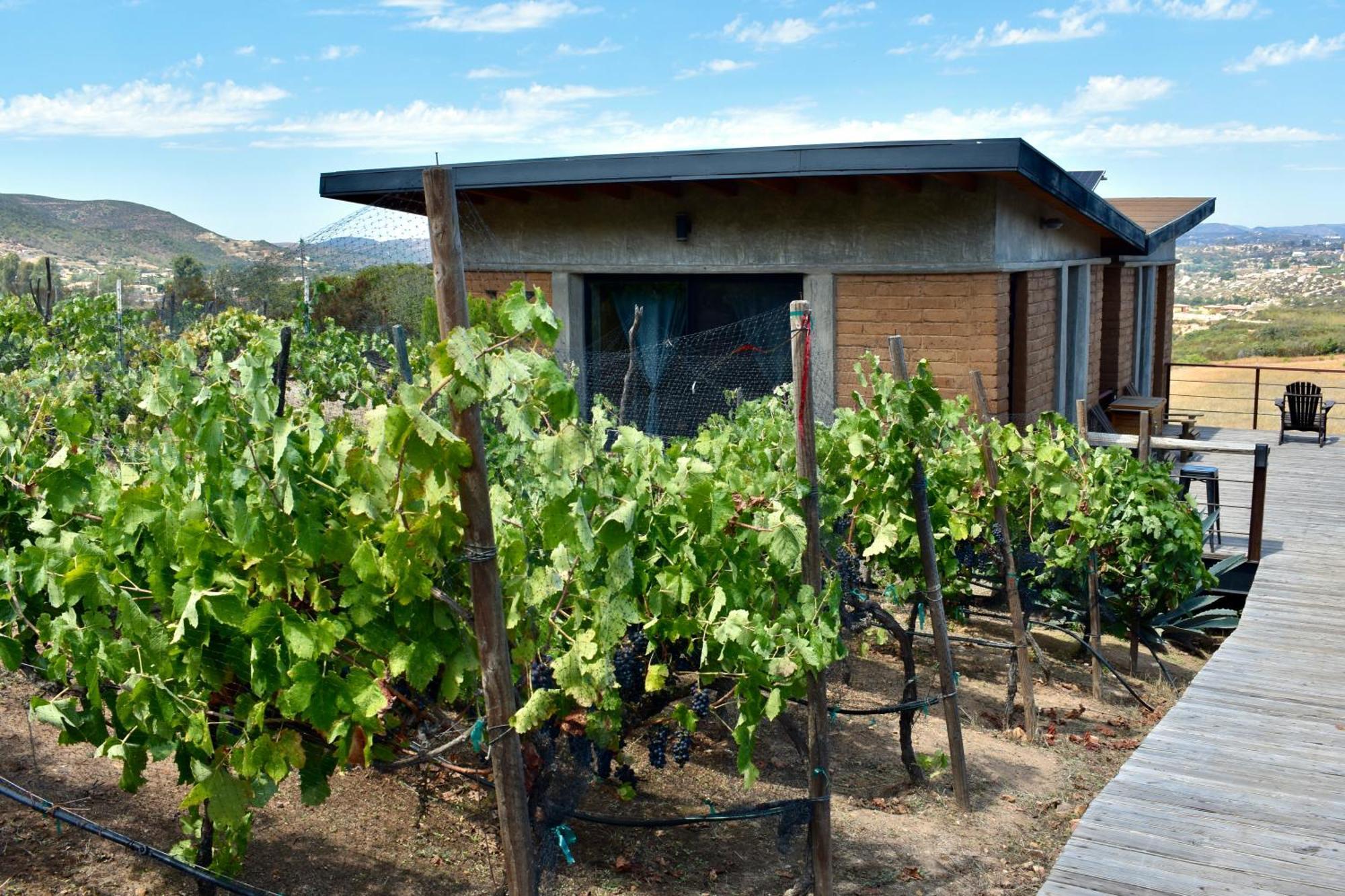 Uvauva Eco-Retreat Bed and Breakfast Valle de Guadalupe Εξωτερικό φωτογραφία